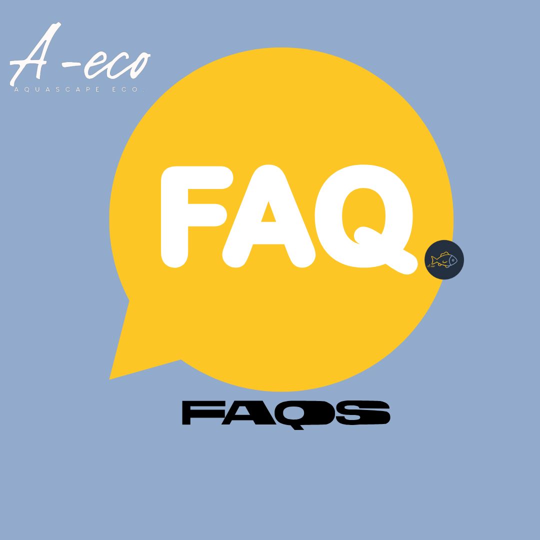 Aquascape Eco:The Frequently Asked Questions Edition
