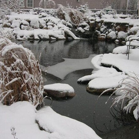 Fall/Winter Pond Care with A-eco