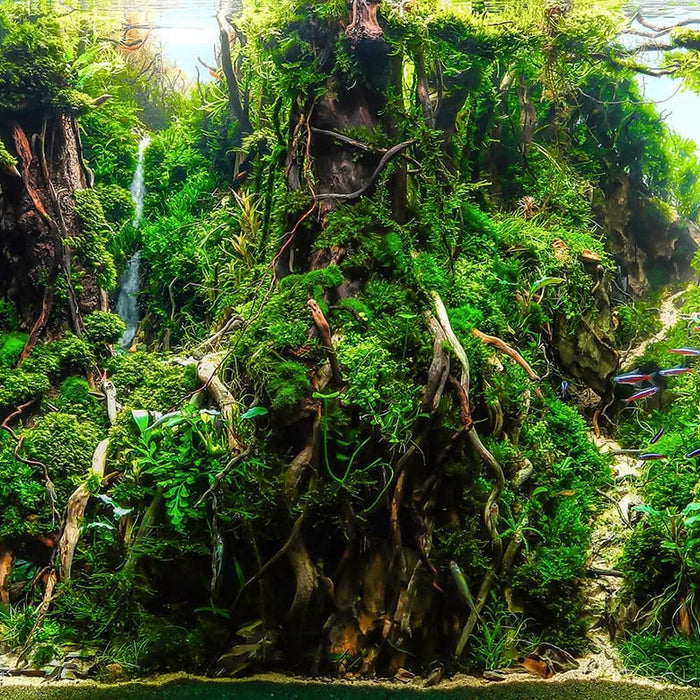 The Essential things needed for Aquascaping