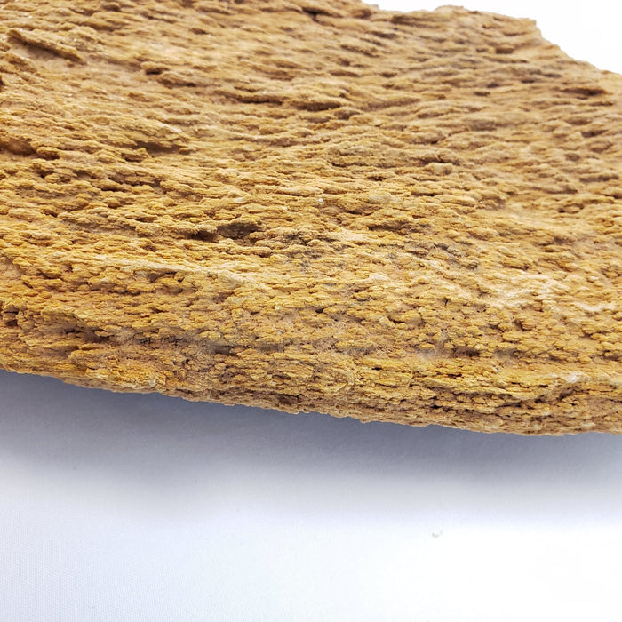 Burma Petrified Stone - 44 Lbs box of SMALL size stones rock and stone Lifegard Aquatics