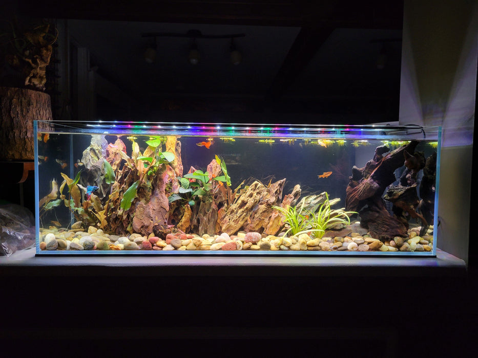 11 Gallon Ultra Low Iron Glass Bookshelf Aquarium Kit 5mm (31.88"x7.87"x9.84") Animals & Pet Supplies Lifegard Aquatics
