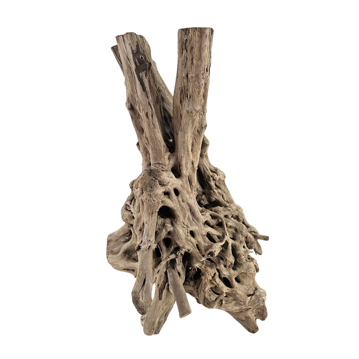 Spiderwood Tree Stump Aquarium Decor Lifegard Aquatics