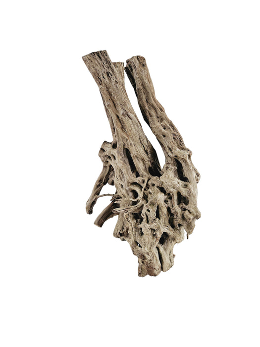 Spiderwood Tree Stump Aquarium Decor Lifegard Aquatics