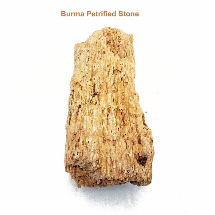 Burma Petrified Stone - 44 Lbs box of SMALL size stones rock and stone Lifegard Aquatics
