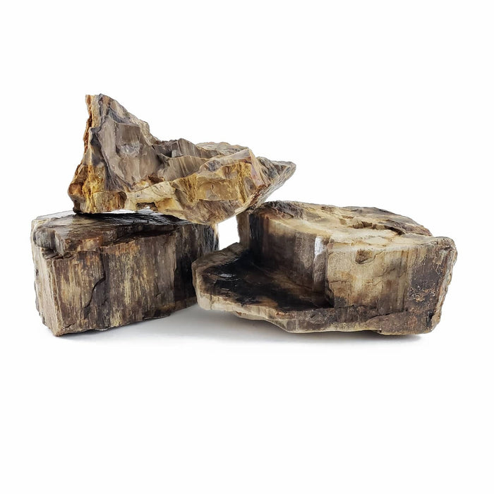 Canyon Petrified Stone - 44 Lbs box of MEDIUM size stones rock and stone Lifegard Aquatics