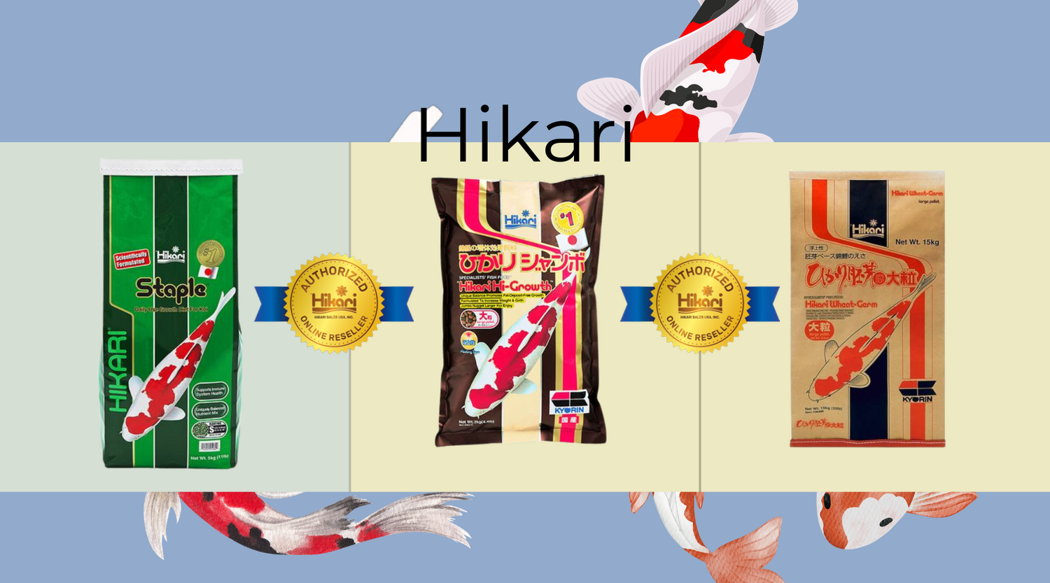 Fish Food During the Winter Months