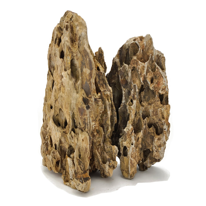 Dragon Ohko Aquascaping Rock 44 Lbs. Large Rock Case rock and stone Lifegard Aquatics