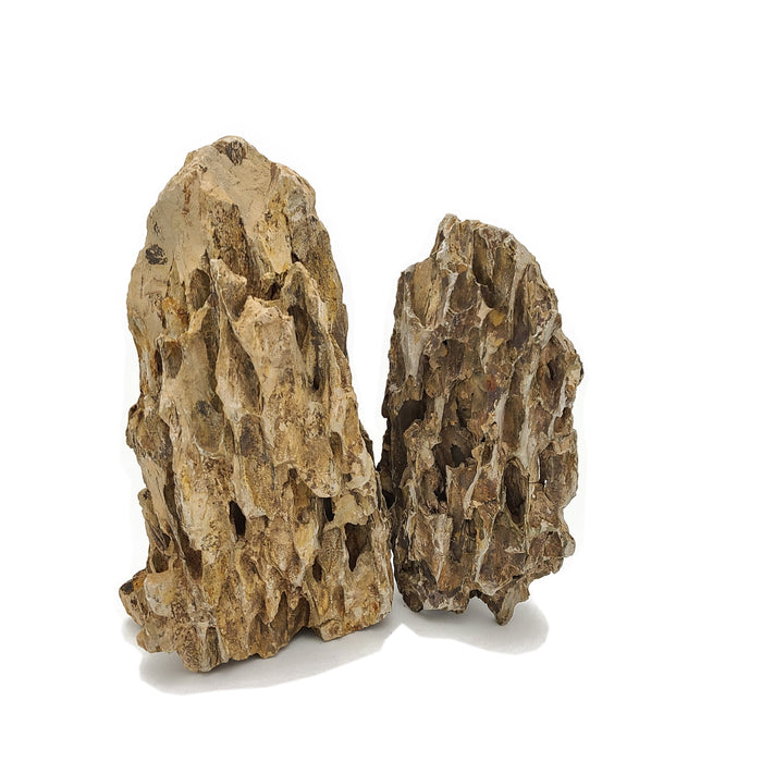 Dragon Ohko Aquascaping Rock 44 Lbs. Large Rock Case rock and stone Lifegard Aquatics