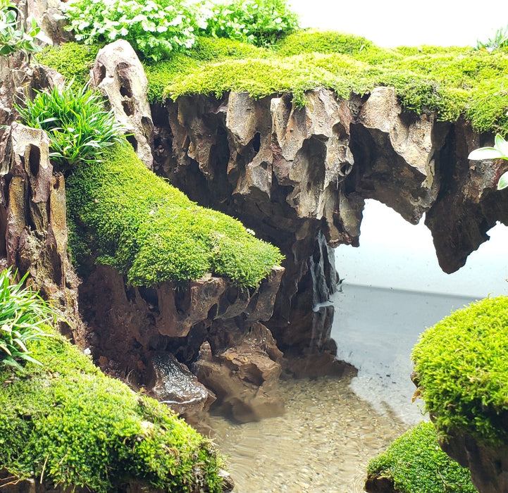 Dragon Wood Pack rock and stone Lifegard Aquatics