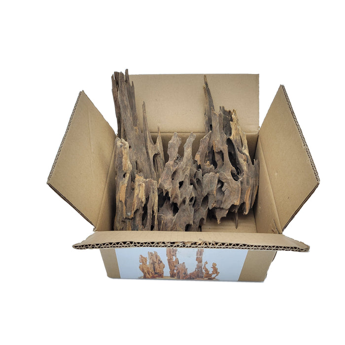 Dragon Wood Pack rock and stone Lifegard Aquatics