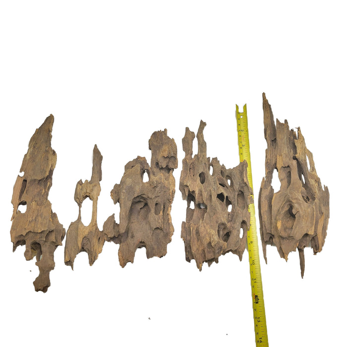 Dragon Wood Pack rock and stone Lifegard Aquatics