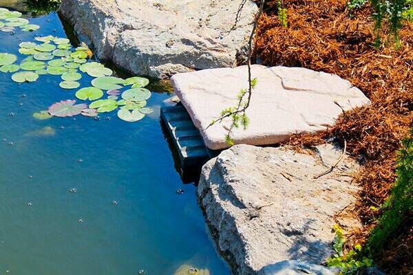 Blue Thumb Large Elite Skimmer w/ Natural Lid - 15" Skimmers for Ponds BLUE THUMB