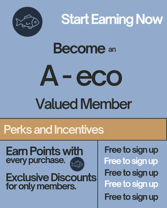 Exclusive Perks for Every Dollar You Spend!