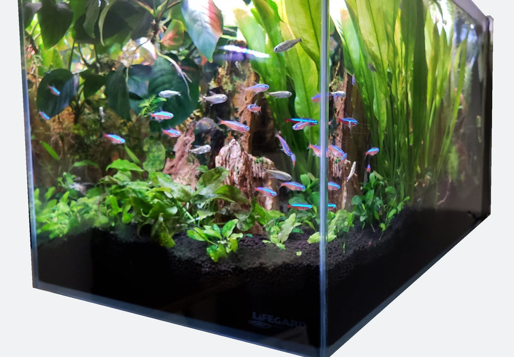 14 Gallon Ultra Low Iron Glass CRYSTAL Aquarium with Built in Side Filter Aquarium Lifegard Aquatics