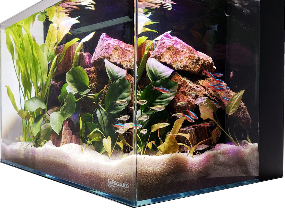 10 Gallon Ultra Low Iron CRYSTAL Aquarium with Built in Back Filter Aquarium Lifegard Aquatics
