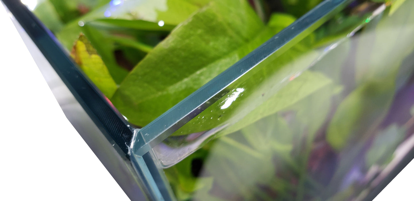 CRYSTAL Rimless Low Iron Ultra Clear Aquarium 5mm (5.44 gallons, 14.17" x 8.66" 10.24") Aquarium Lifegard Aquatics
