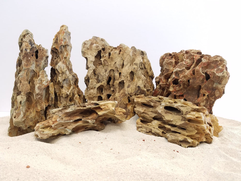 Dragon Ohko Aquascaping Rock 44 Lbs. Large Rock Case rock and stone Lifegard Aquatics