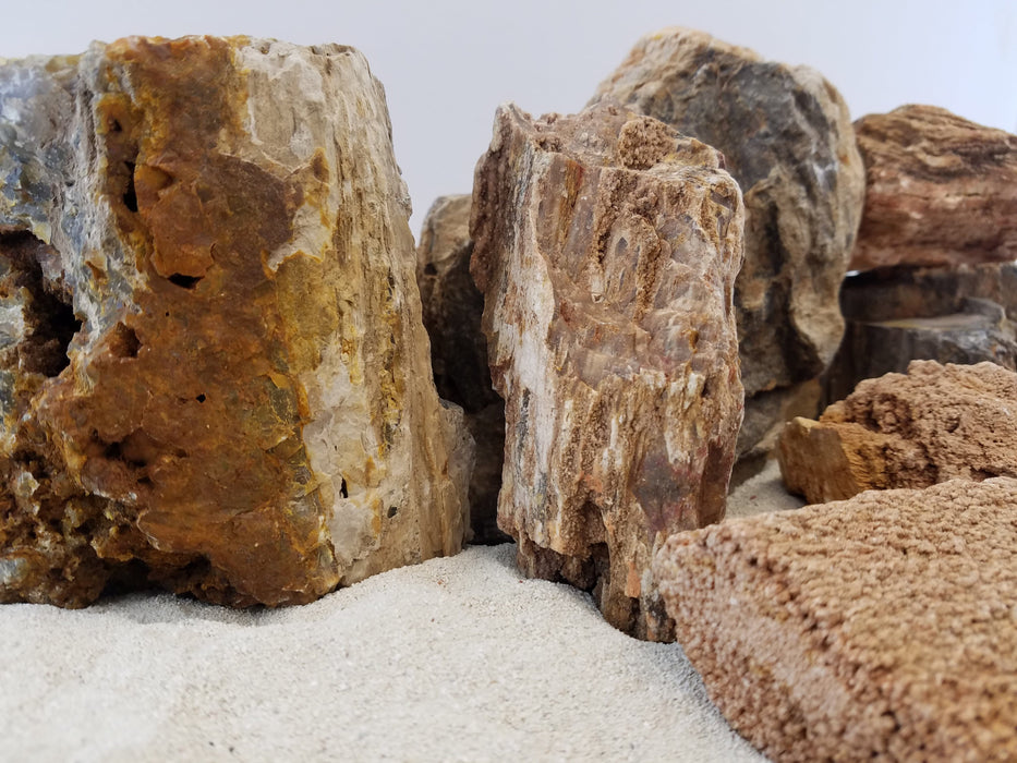 Canyon Petrified Stone - 44 Lbs box of SMALL size stones rock and stone Lifegard Aquatics
