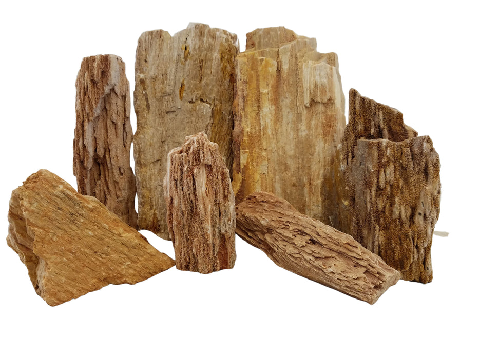Burma Petrified Stone - 44 Lbs box of SMALL size stones rock and stone Lifegard Aquatics
