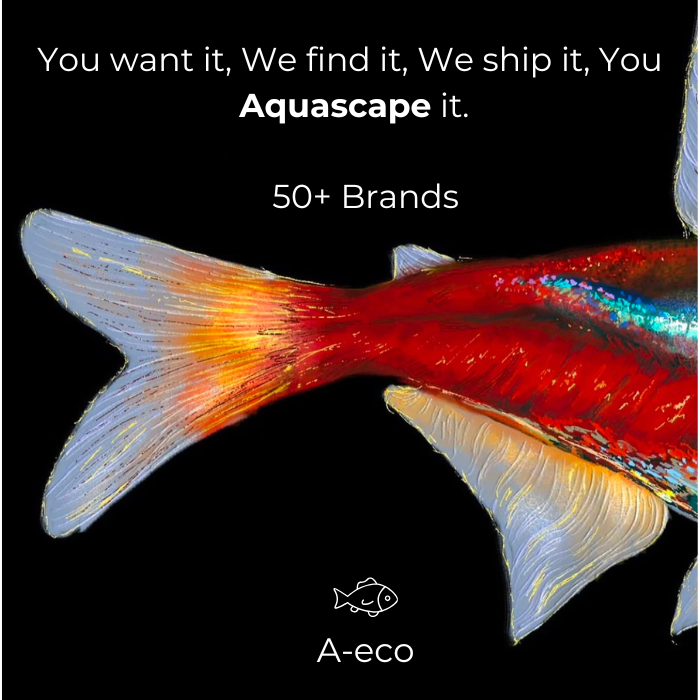 A-eco Concierge Service