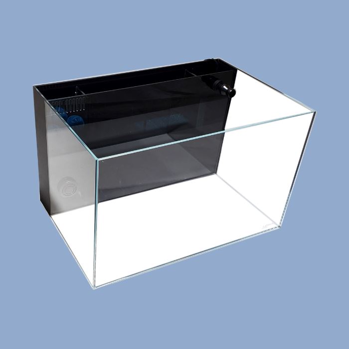 Aquarium Kit I 24 gallon Rimless fish tank I Lifegard Aquatics Aquarium Lifegard Aquatics