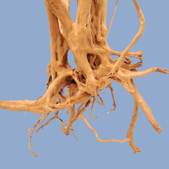 Spiderwood Tree Stump I Lifegard Aquatics