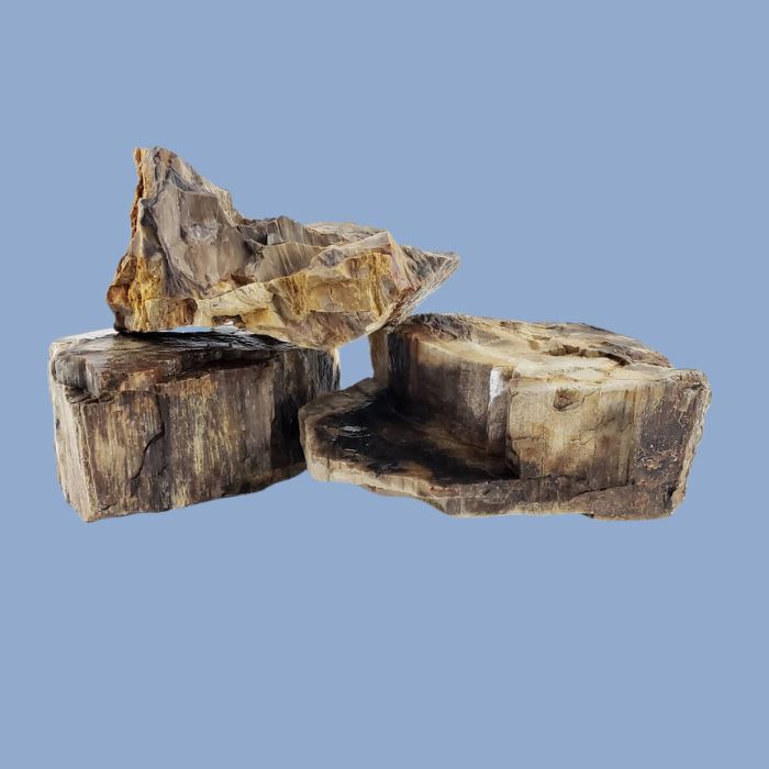 Lifegard Aquatics Canyon Petrified Stone - 44 Lbs box of MEDIUM size stones rock and stone Lifegard Aquatics