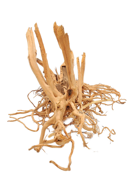 Spiderwood Tree Stump Aquarium Decor Lifegard Aquatics