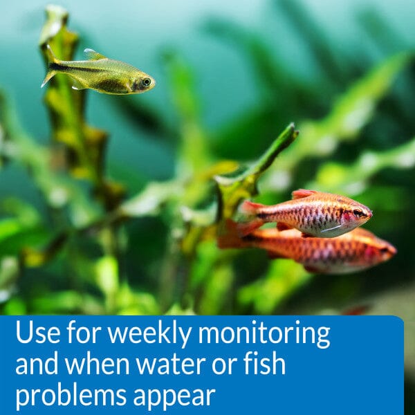 API Freshwater Master Test Kit - Aquarium Treatments API