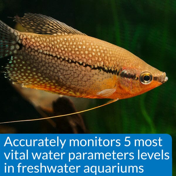 API Freshwater Master Test Kit - Aquarium Treatments API