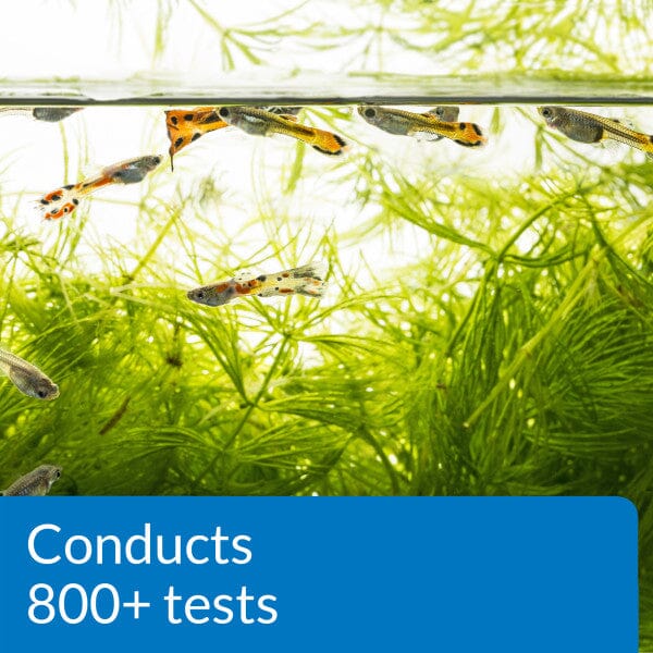 API Freshwater Master Test Kit - Aquarium Treatments API