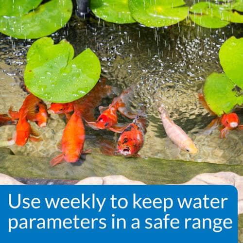API Pond Master Liquid Test Kit Treatments API