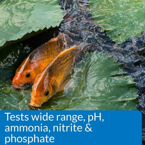 API Pond Master Liquid Test Kit Treatments API