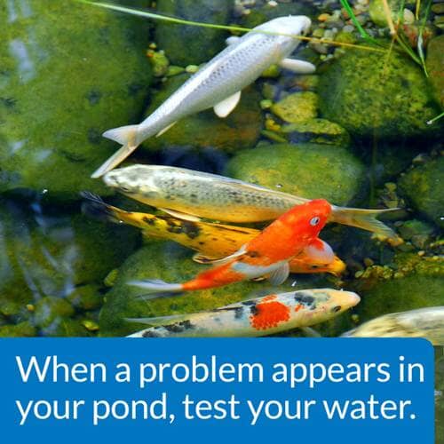 API Pond Master Liquid Test Kit Treatments API