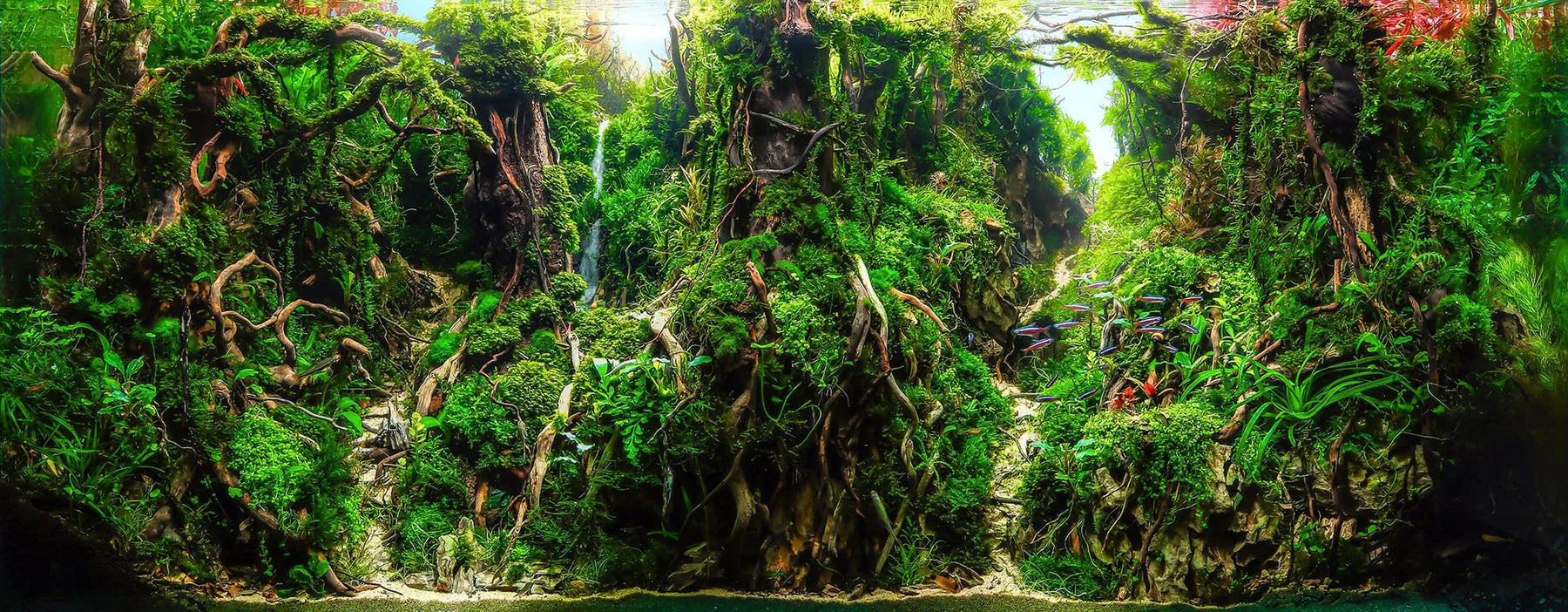 The Essential things needed for Aquascaping