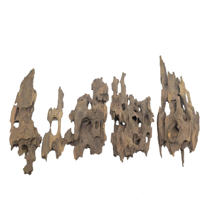 Dragon Wood Pack rock and stone Lifegard Aquatics 