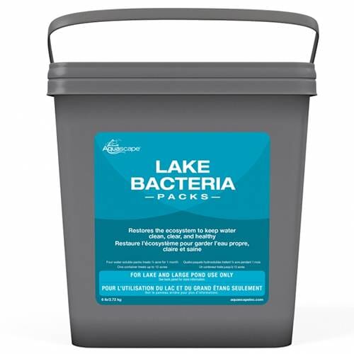 Aquascape Lake Bacteria Packs - 48 Packs Lake Management AQUASCAPE 