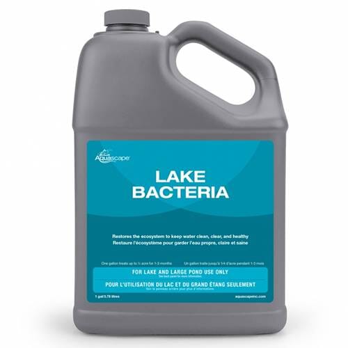 Aquascape Lake Bacteria, 1 Gallon Lake Management AQUASCAPE 