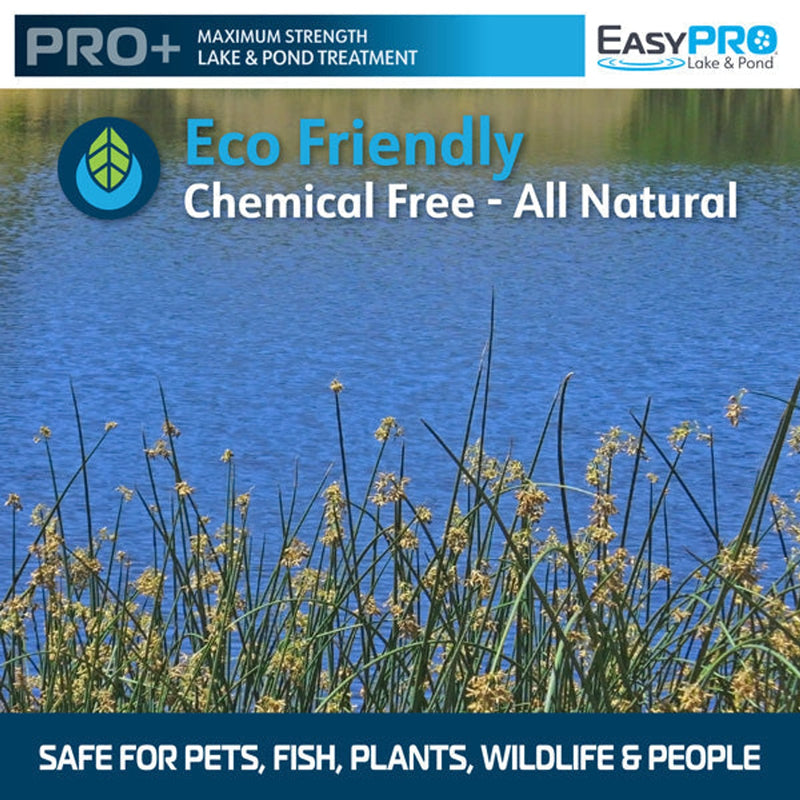 EasyPro Concentrated Blue Lake Colorant - Liquid - 1 Quart - ECPD product image