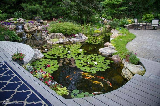 Aquascape Large Pond Kit 21' x 26' w/ SLD 5000-9000 Adjustable Flow Pump Pond Kits - Complete Pond AQUASCAPE 