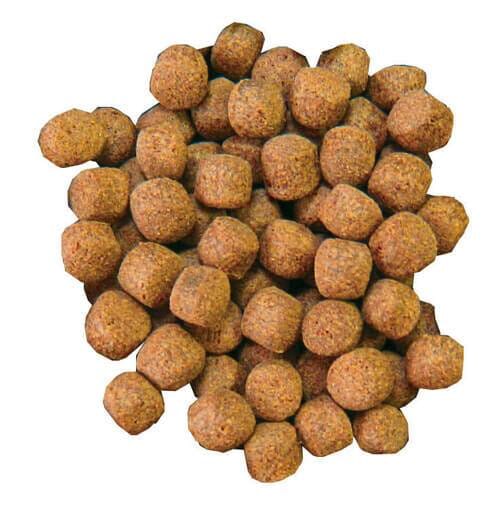 Aquascape Premium Cold Water Fish Food, Large Pellet, 11 lbs. Aquascape Fish Food AQUASCAPE 