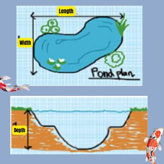 How to Calculate the Right Pond Liner Size