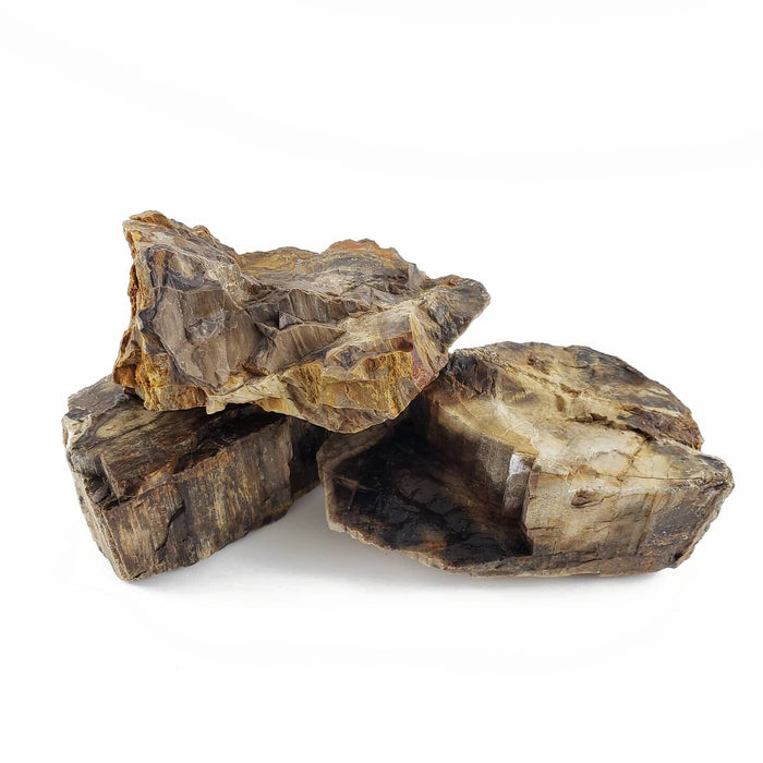 Canyon Petrified Stone - 44 Lbs box of MEDIUM size stones rock and stone Lifegard Aquatics 