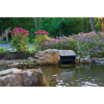 Atlantic PS3900 Skimmer Skimmers for Ponds ATLANTIC 
