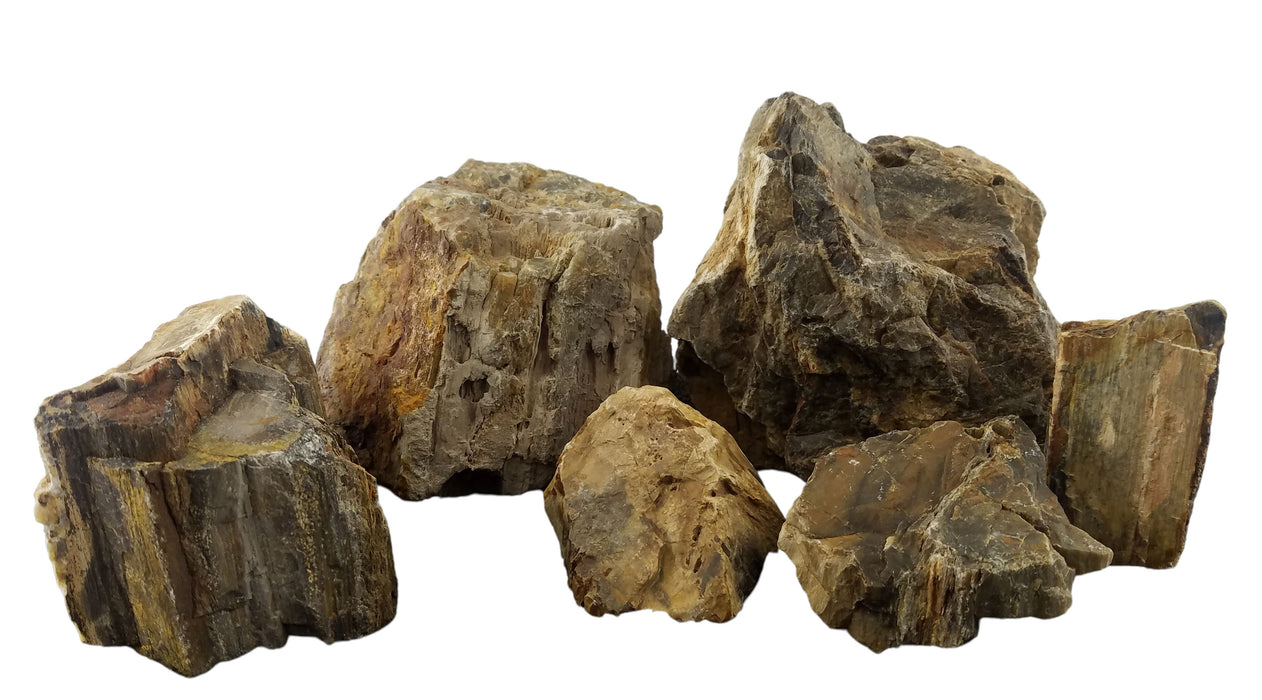 Canyon Petrified Stone - 44 Lbs box of MEDIUM size stones rock and stone Lifegard Aquatics 