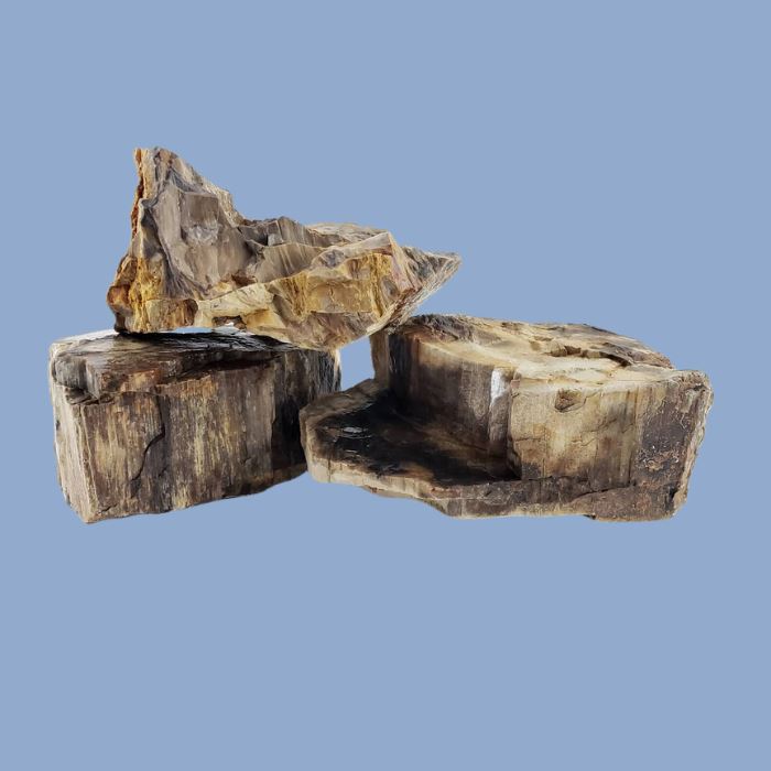 Lifegard Aquatics Canyon Petrified Stone - 44 Lbs box of MEDIUM size stones rock and stone Lifegard Aquatics 