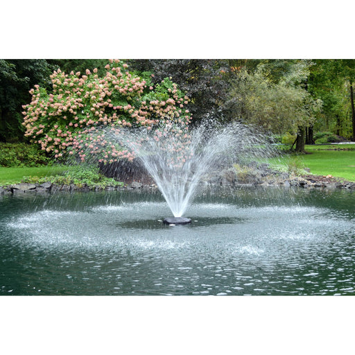 AF10020 1 HP AquaFountain™ with 200′ Power Cord product image