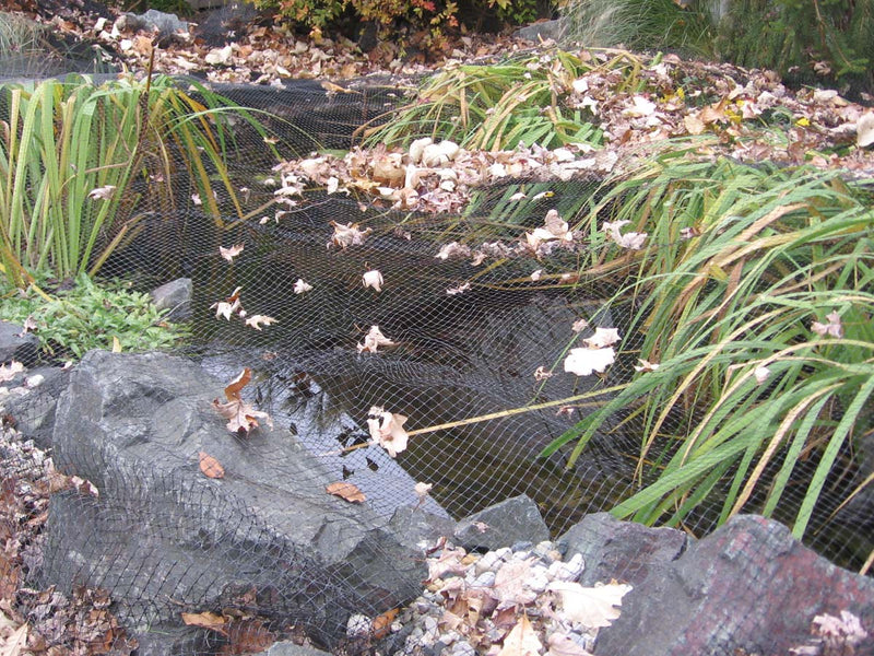 CNR38 Premium Pond and Garden Cover Netting 3/8" Cut-to-Length – Sold per sq. ft.