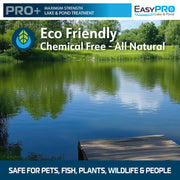 EasyPro Concentrated Serenity Lake Colorant - Liquid - 1 Quart - ECPDSB product image