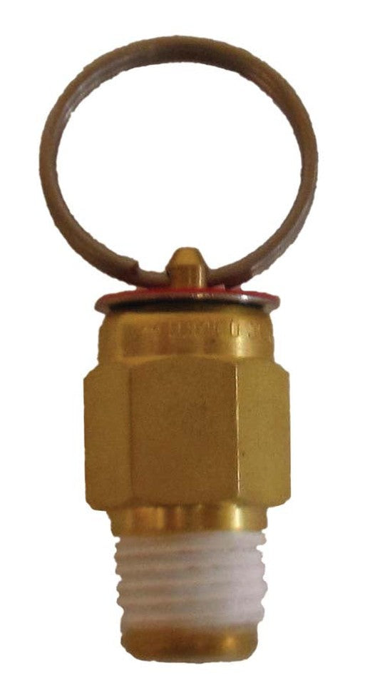PR10 10 PSI Relief